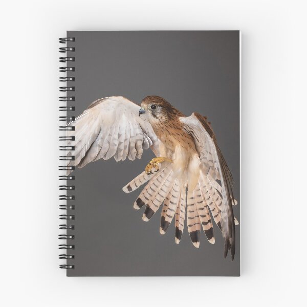 Item preview, Nankeen Kestrel Landing designed and sold by WadeBuchan.