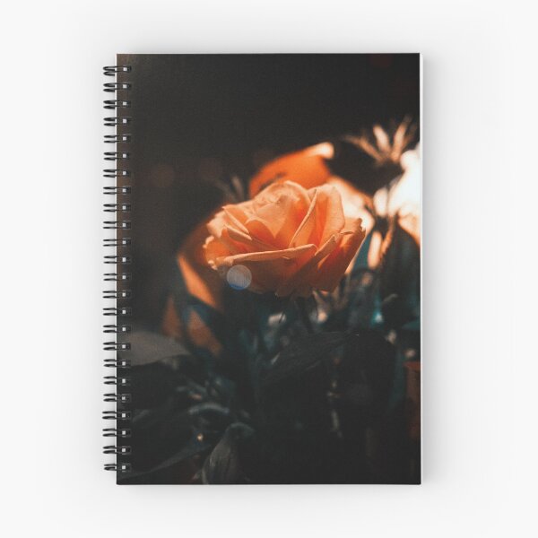 Item preview, Window Rose designed and sold by worktheangle.