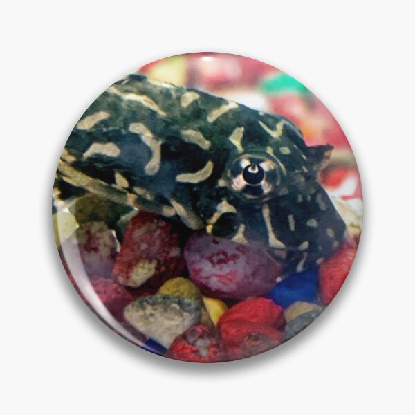 Item preview, Pleco designed and sold by ArtistKatieJ.