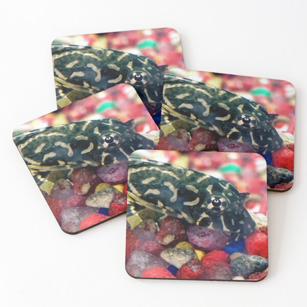 Item preview, Pleco designed and sold by ArtistKatieJ.