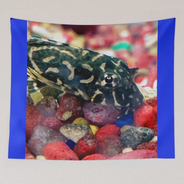 Item preview, Pleco designed and sold by ArtistKatieJ.
