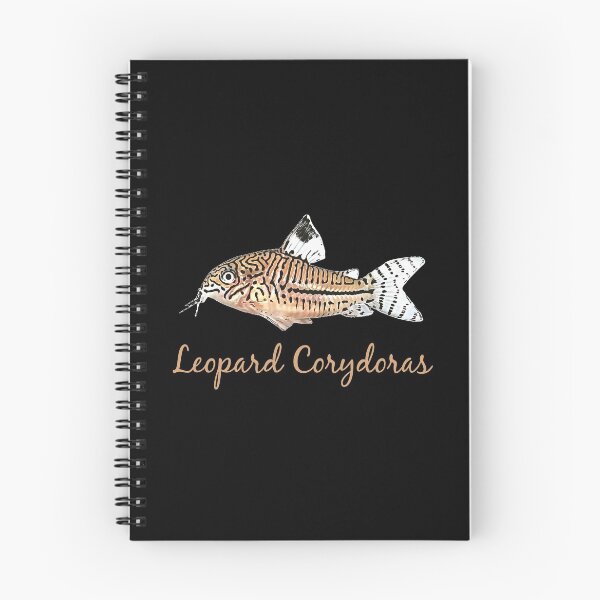 Item preview, Leopard Corydoras - For all Cory lovers designed and sold by AquariumExp.