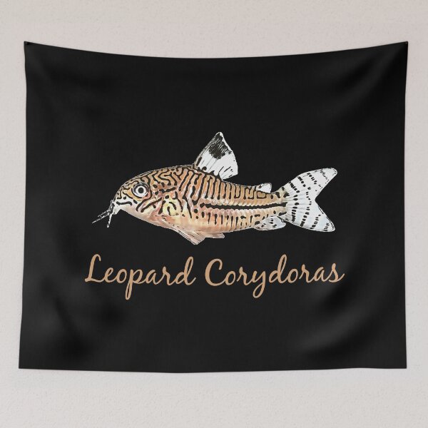 Item preview, Leopard Corydoras - For all Cory lovers designed and sold by AquariumExp.