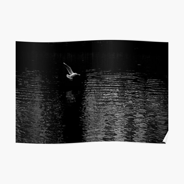 SP 012 Poster