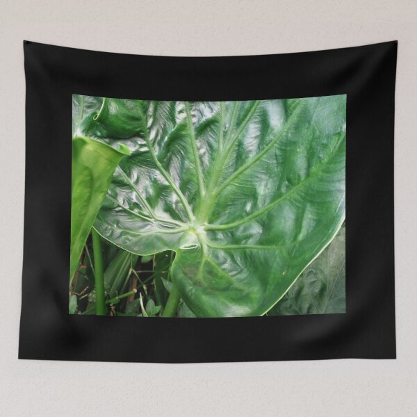 Item preview, Hilo Rainforest Fauna designed and sold by Twisted-Pixels.