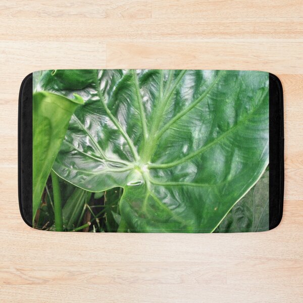 Item preview, Fauna de la selva tropical de Hilo designed and sold by Twisted-Pixels.