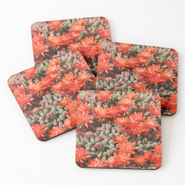 Item preview, Red Cactus Flowers designed and sold by SweepingShadows.
