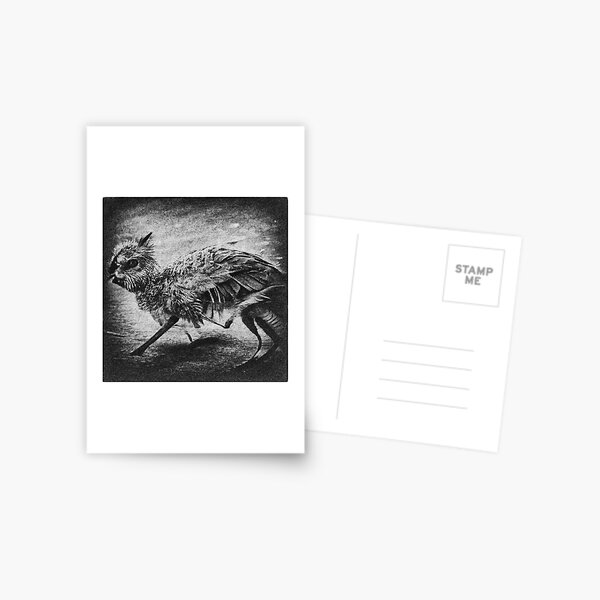 Black Chimera Postcard