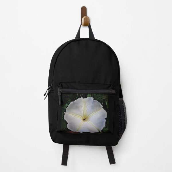 Item preview, Hilo Rainforest Fauna designed and sold by Twisted-Pixels.