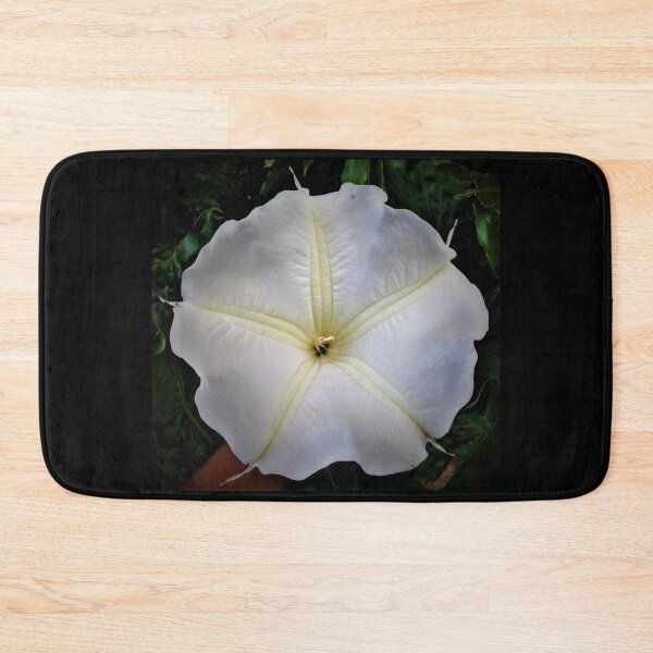 Item preview, Hilo Rainforest Fauna designed and sold by Twisted-Pixels.