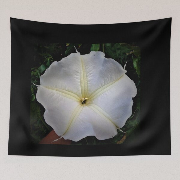 Item preview, Hilo Rainforest Fauna designed and sold by Twisted-Pixels.