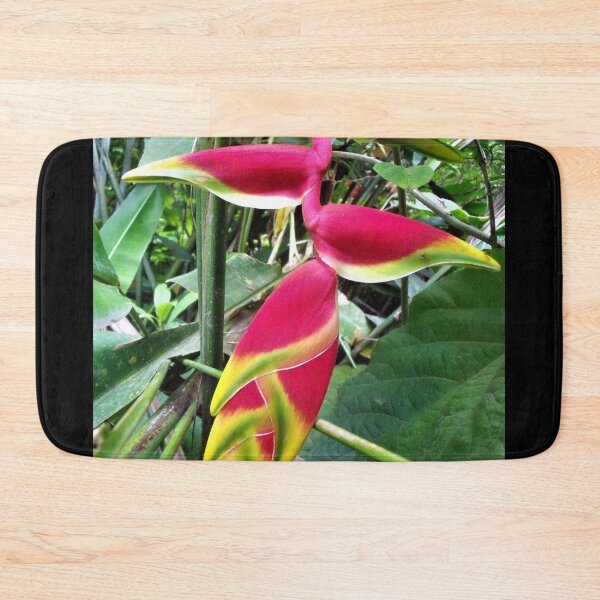 Item preview, Fauna de la selva tropical de Hilo designed and sold by Twisted-Pixels.