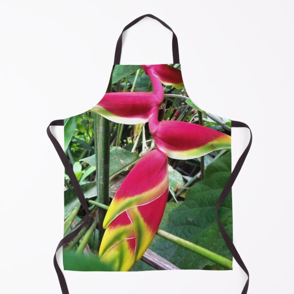 Item preview, Fauna de la selva tropical de Hilo designed and sold by Twisted-Pixels.