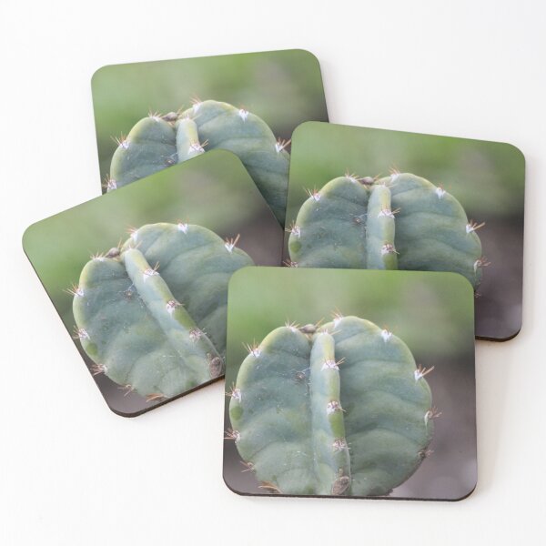 Item preview, cactus  designed and sold by dggcreate.