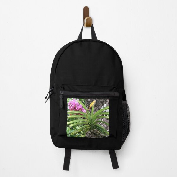 Item preview, Hilo Rainforest Fauna designed and sold by Twisted-Pixels.