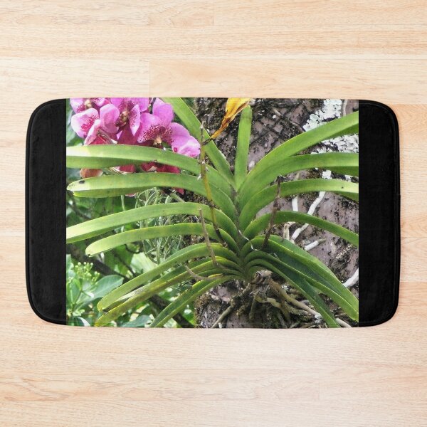 Item preview, Hilo Rainforest Fauna designed and sold by Twisted-Pixels.