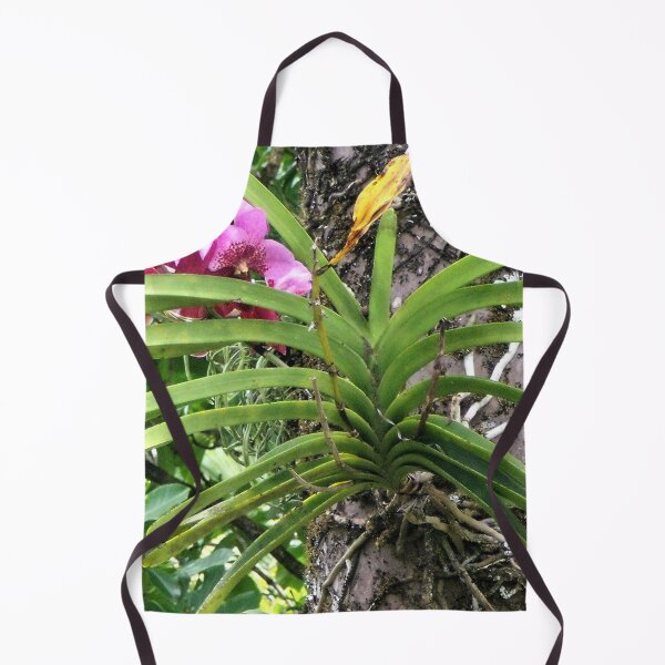 Item preview, Hilo Rainforest Fauna designed and sold by Twisted-Pixels.