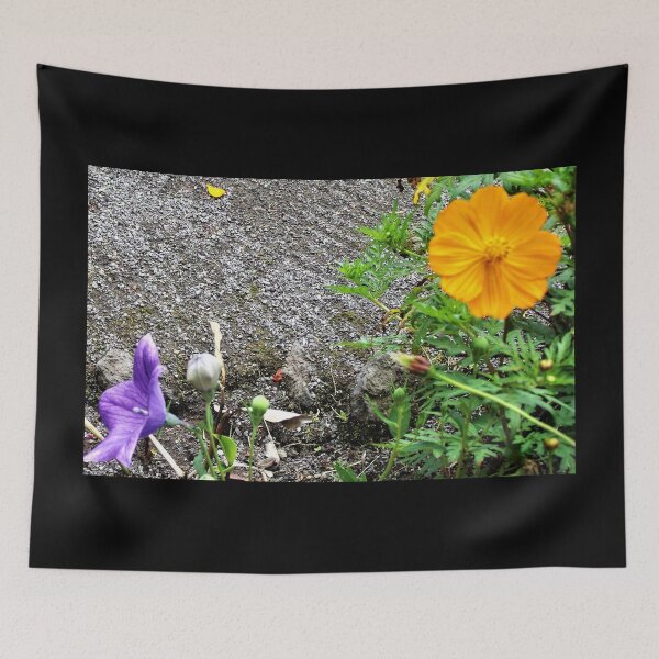 Item preview, Fauna de la selva tropical de Hilo designed and sold by Twisted-Pixels.