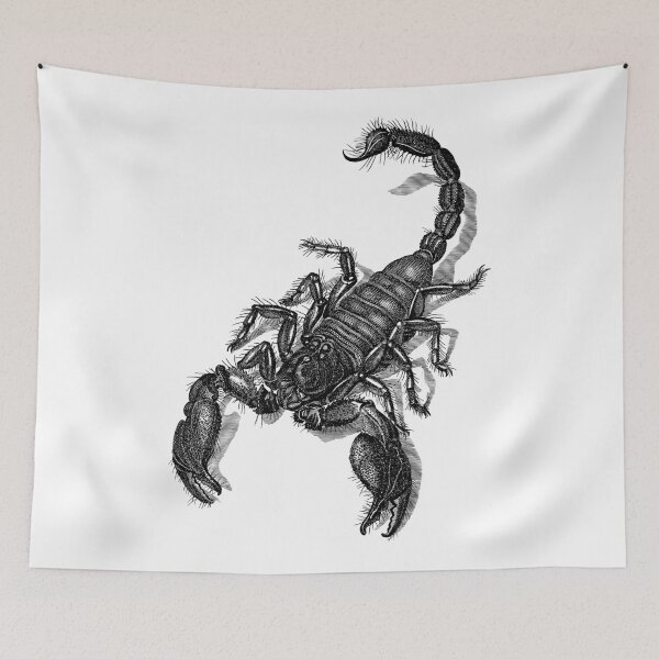 Item preview, Scorpio drawing. designed and sold by emphatic.