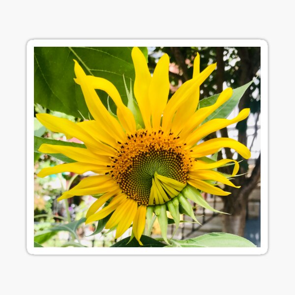 Aperçu de l'œuvre tournesol créée et vendue par WakeUpYourHome.