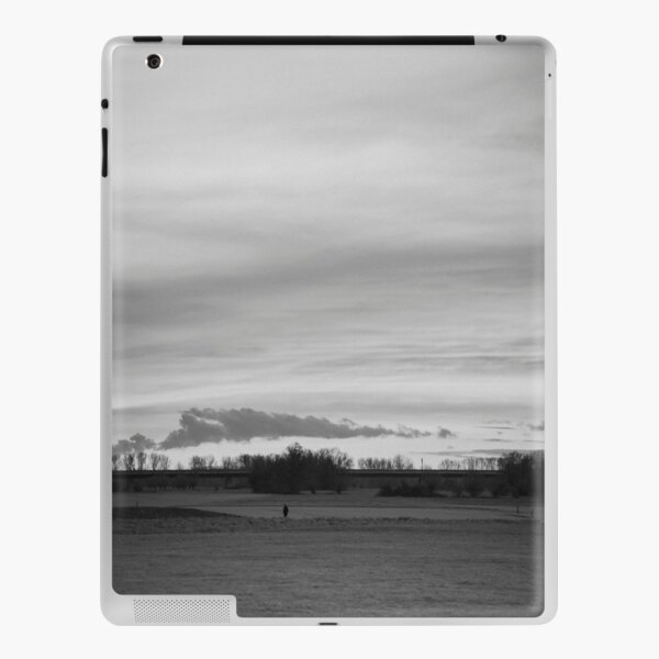 SP 002 iPad Skin
