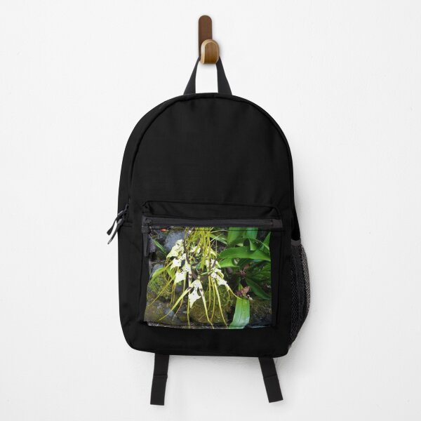 Item preview, Hilo Rainforest Fauna designed and sold by Twisted-Pixels.