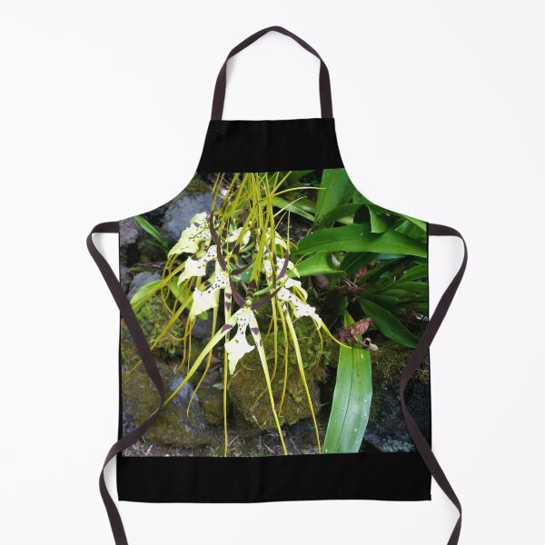 Item preview, Hilo Rainforest Fauna designed and sold by Twisted-Pixels.