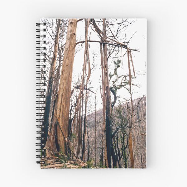 Item preview, Trees After Bushfire designed and sold by Karen Banson.