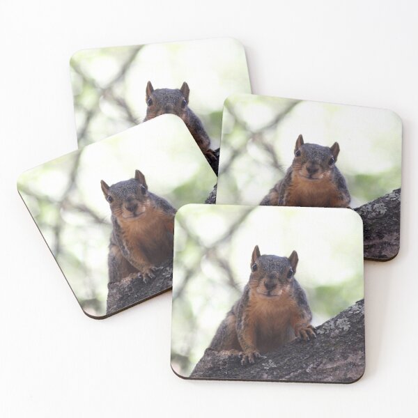 Item preview, Do You Have a Nut? designed and sold by ArykaBrimmer.
