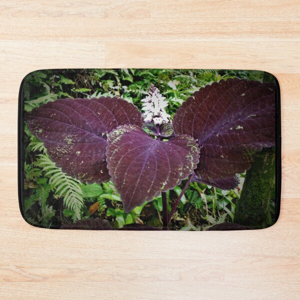 Item preview, Hilo Rainforest Fauna designed and sold by Twisted-Pixels.