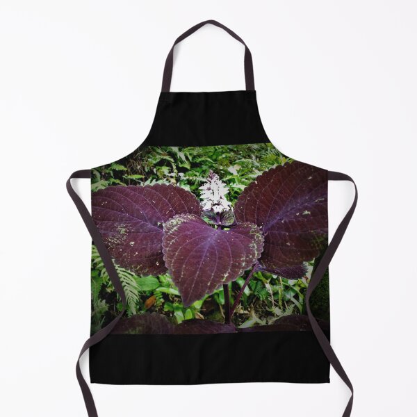 Item preview, Hilo Rainforest Fauna designed and sold by Twisted-Pixels.