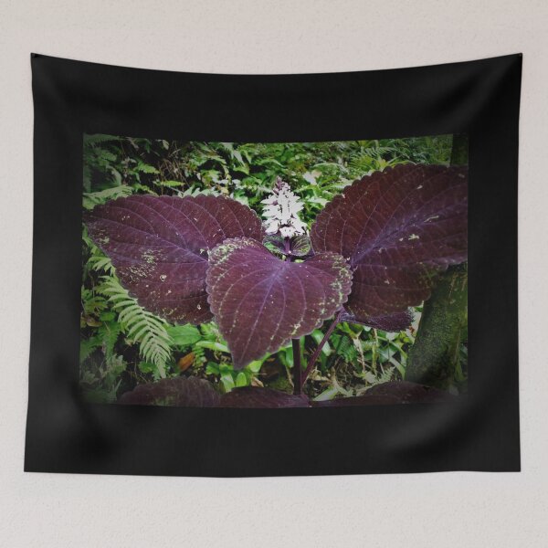 Item preview, Hilo Rainforest Fauna designed and sold by Twisted-Pixels.