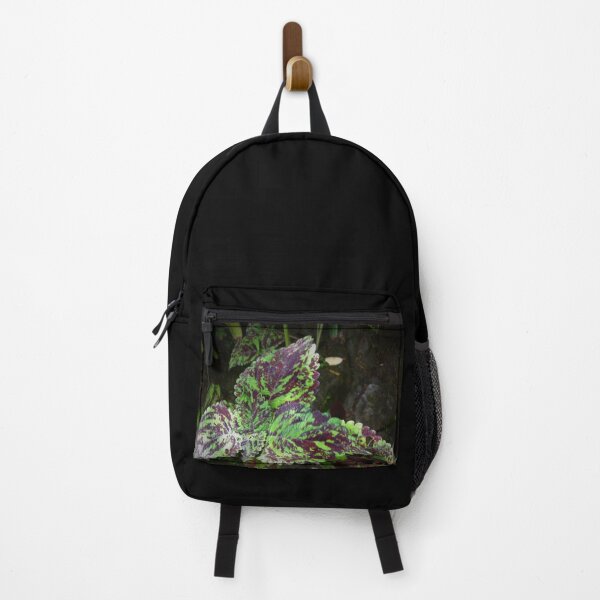 Item preview, Hilo Rainforest Fauna designed and sold by Twisted-Pixels.