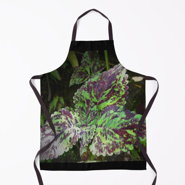 Item preview, Fauna de la selva tropical de Hilo designed and sold by Twisted-Pixels.