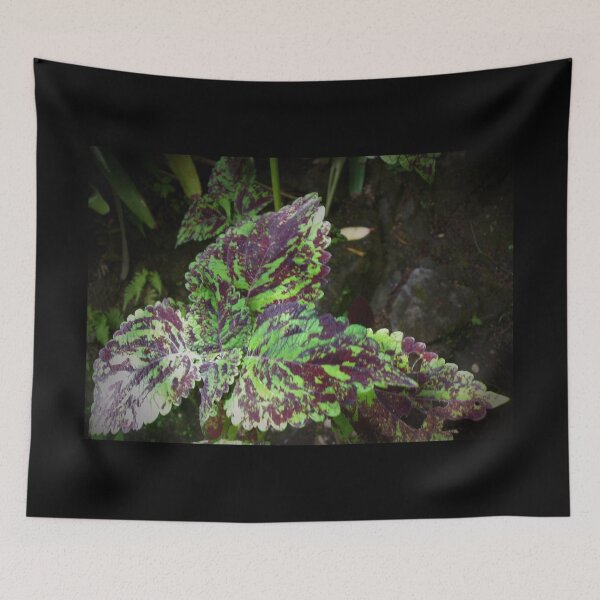 Item preview, Fauna de la selva tropical de Hilo designed and sold by Twisted-Pixels.