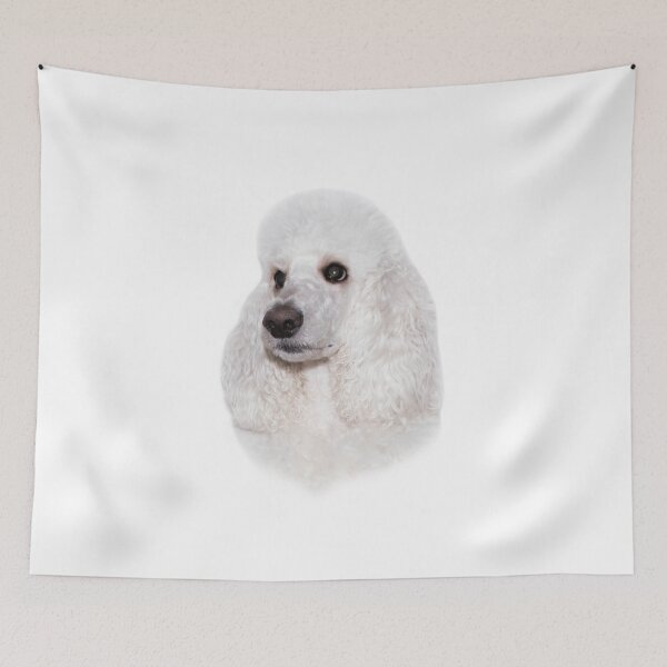 Item preview, the head of the white royal poodle looks to the left designed and sold by nataliavavilina.