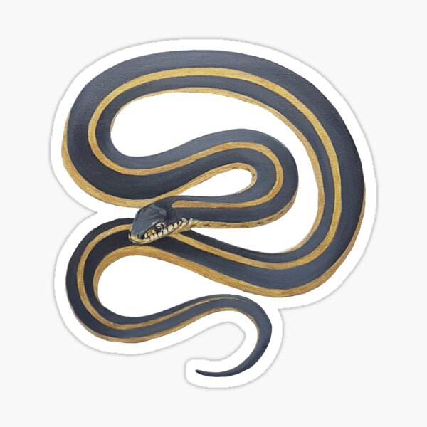 Garter Snake painting (no background) Sticker