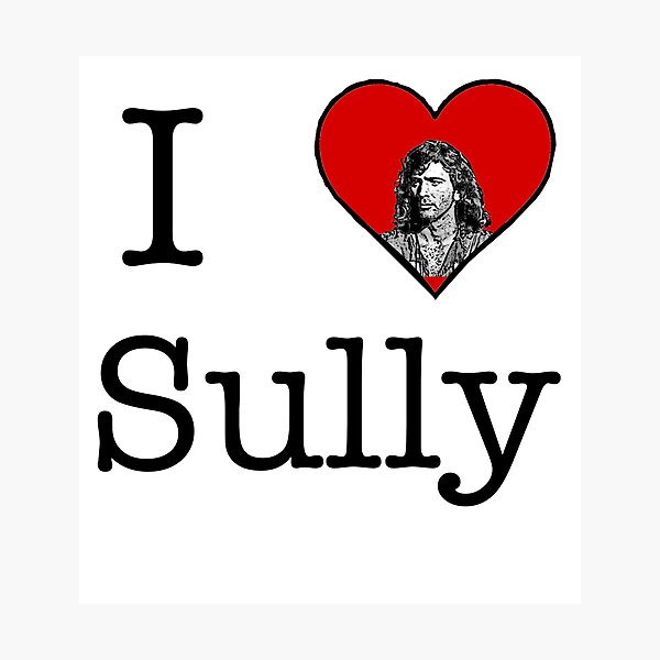 Sully Groan Photographic Print for Sale by rtBlueNova