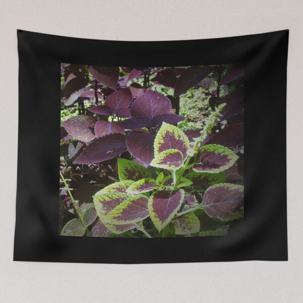 Item preview, Hilo Rainforest Fauna designed and sold by Twisted-Pixels.