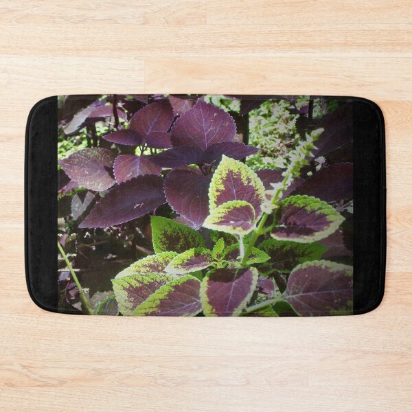 Item preview, Hilo Rainforest Fauna designed and sold by Twisted-Pixels.
