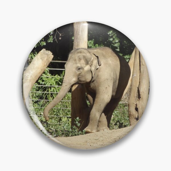 Item preview, Asian elephant designed and sold by greentiger1.