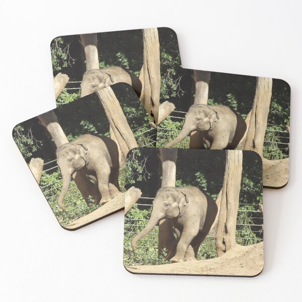 Item preview, Asian elephant designed and sold by greentiger1.