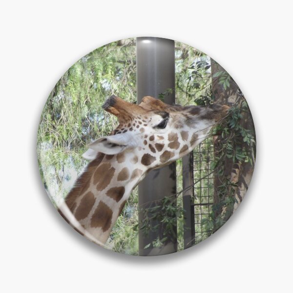 Item preview, Giraffe eating designed and sold by greentiger1.