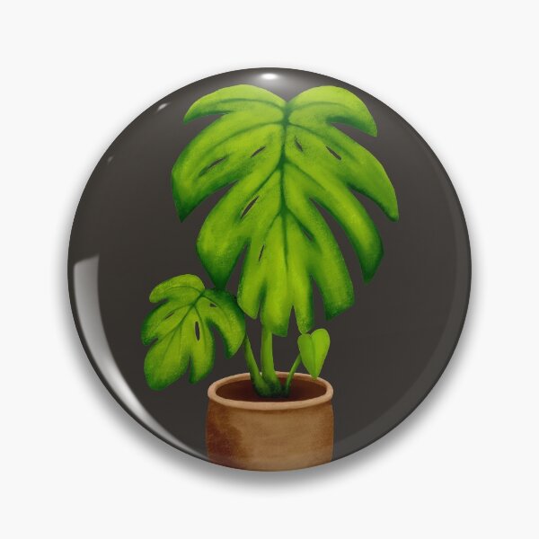 Item preview, Planta de interior Monstera designed and sold by Kraina.
