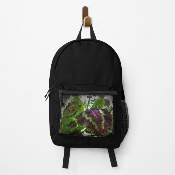Item preview, Hilo Rainforest Fauna designed and sold by Twisted-Pixels.