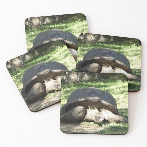 Item preview, Aldabra giant tortoise  designed and sold by greentiger1.