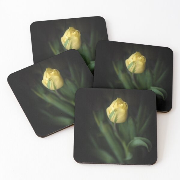 Artikelvorschau, Einzelne gelbe Tulpe Stillleben entworfen und verkauft von Amy Mitchell.