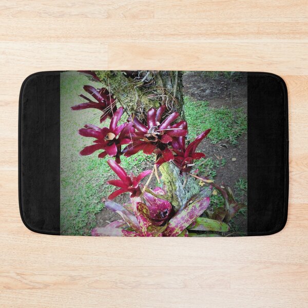 Item preview, Hilo Rainforest Fauna designed and sold by Twisted-Pixels.