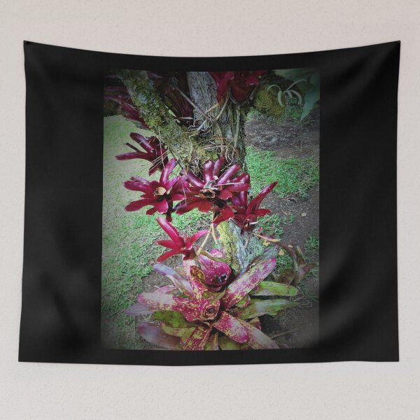 Item preview, Hilo Rainforest Fauna designed and sold by Twisted-Pixels.
