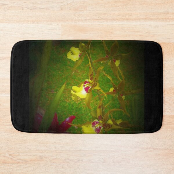 Item preview, Fauna de la selva tropical de Hilo designed and sold by Twisted-Pixels.